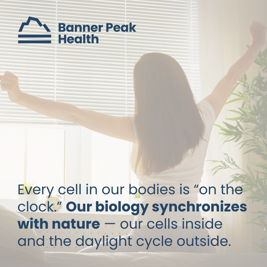 Quote: How to Reset Your Circadian Rhythm: A Physician’s Tips