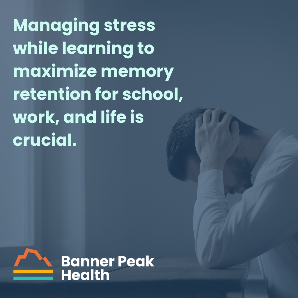 Quote: What Is the Relationship Between Stress and Memory?