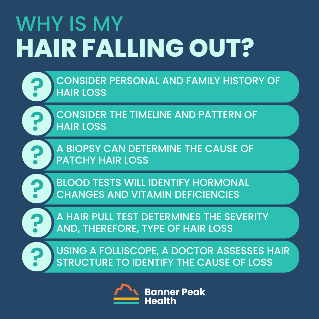 Infographic: Why Is My Hair Falling Out So Much? (Hair Loss in Men and Women)
