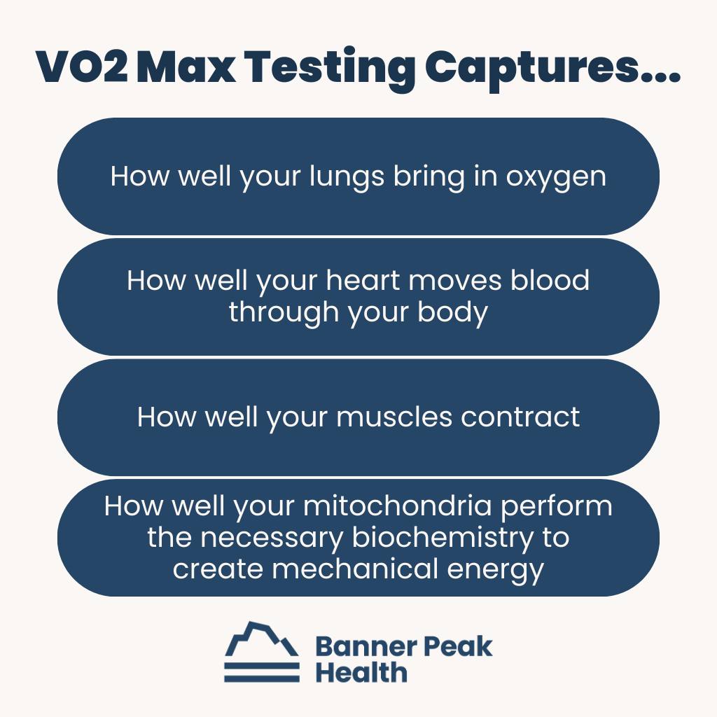 Infographic: VO2 Max: The Diagnostic Crystal Ball