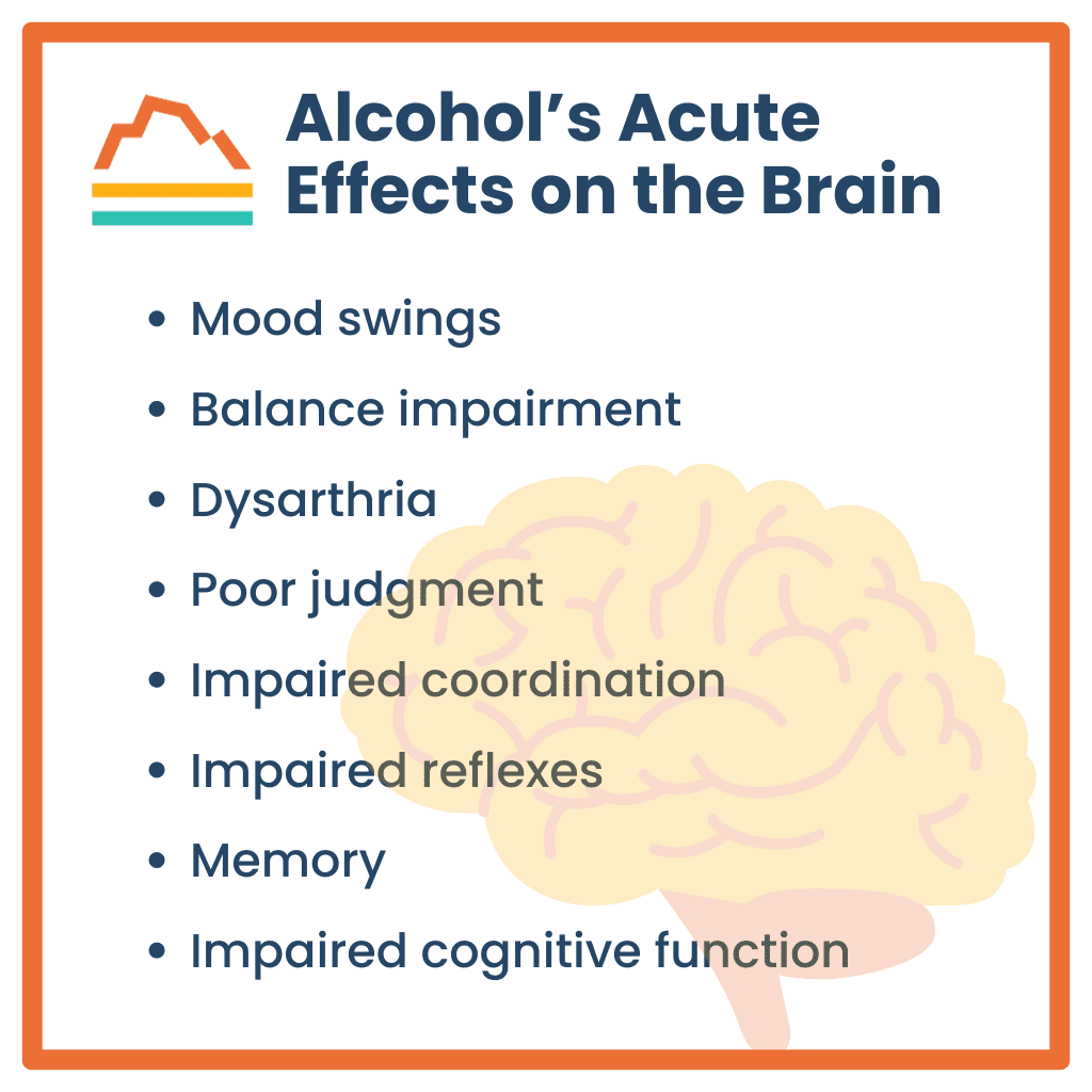 Alcohol And Your Brain The Long Term Impact On Thinking And Memory Alcohol And Your Brain The Long Term Impact On Thinking And Memory