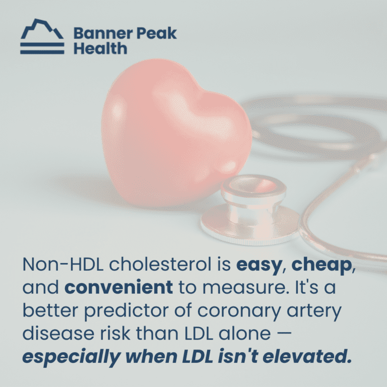 What Is NonHDL Cholesterol? Understanding Your Heart Health