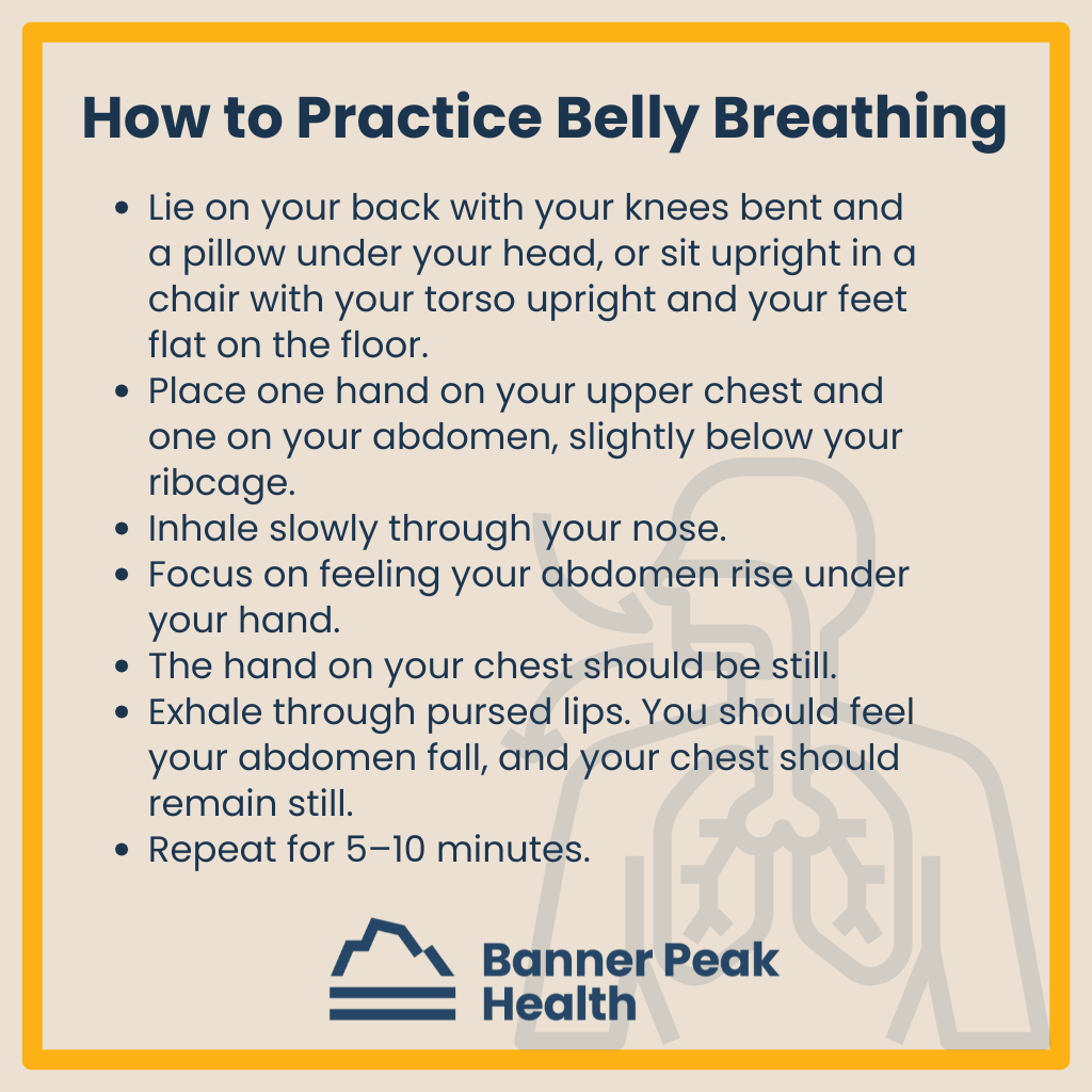 Infographic: Your Guide to Belly Breathing: Benefits, Techniques, and More