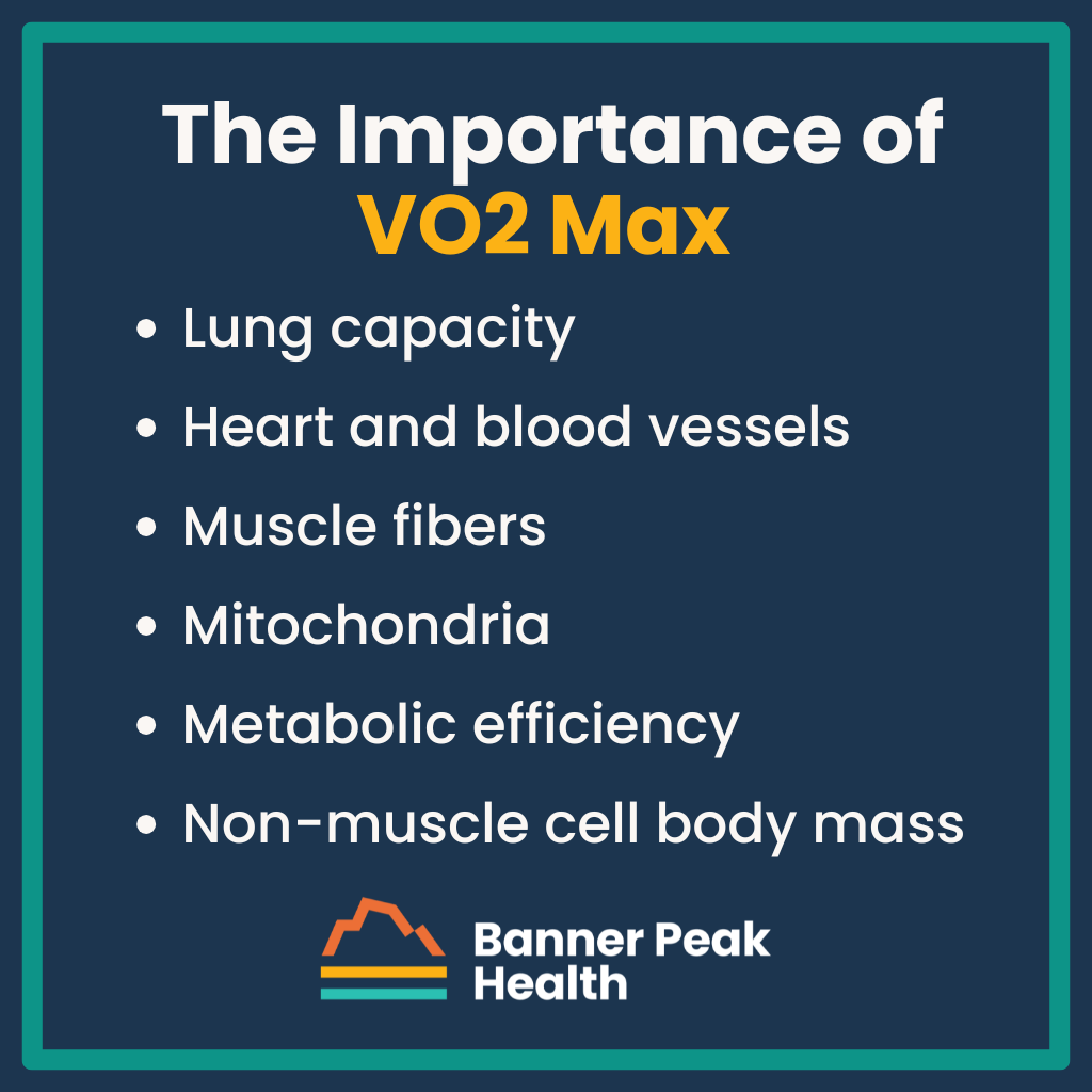 Infographic: How Our New VO2 Master Measures VO2 Max