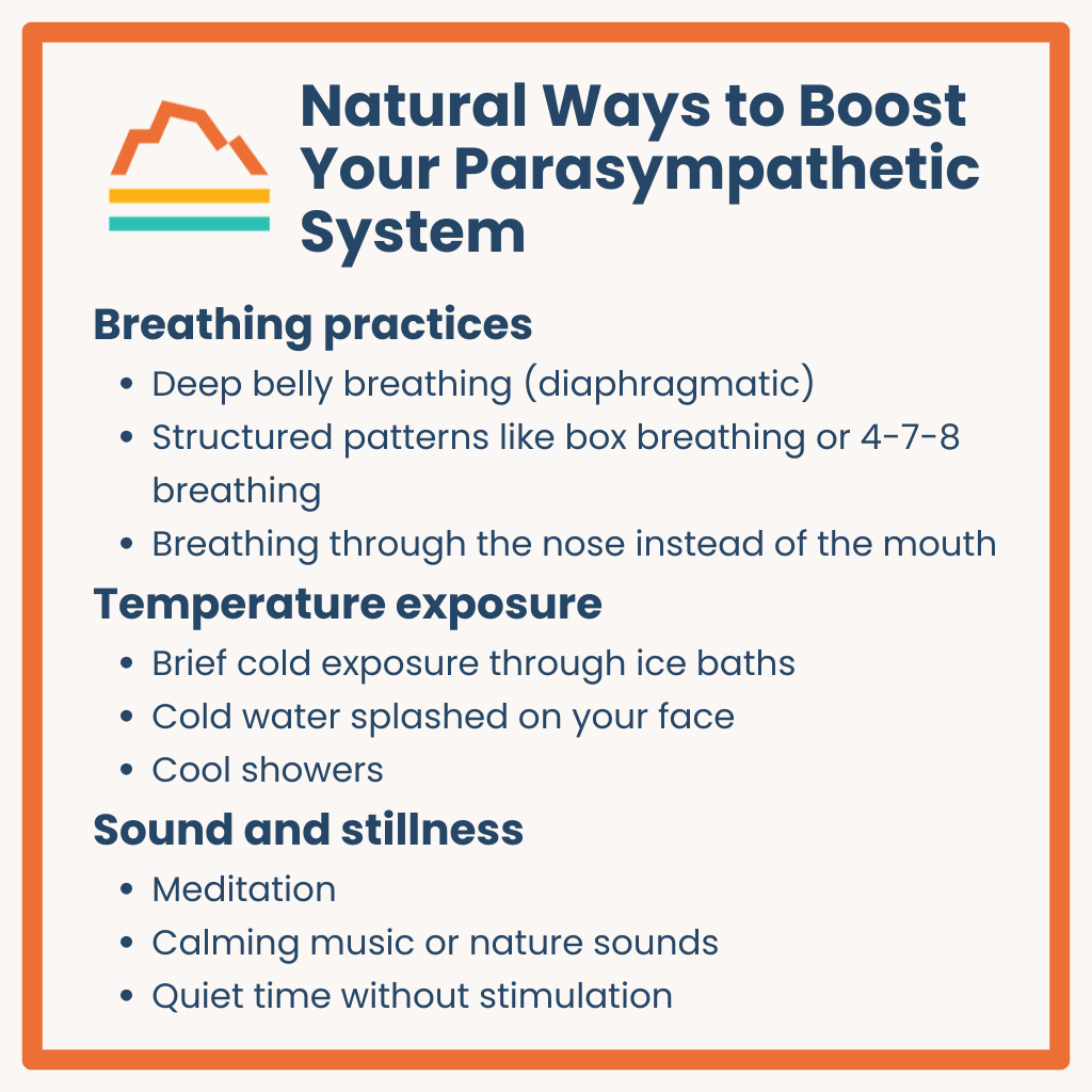 Infographic: How to Optimize Your Autonomic Nervous System’s Stress-Fighting Function