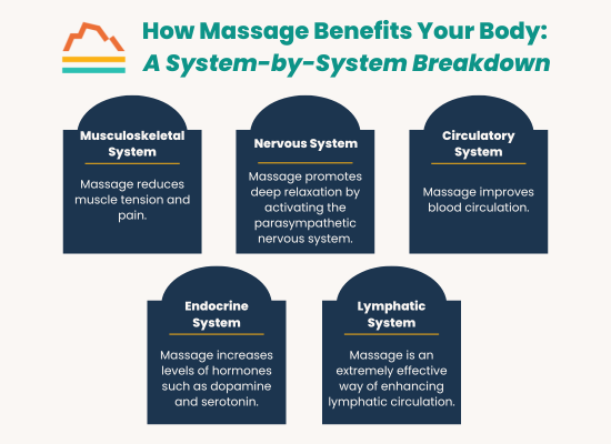 Infographic: What Toxins Are Released After Massage? Separating Fact From Fiction