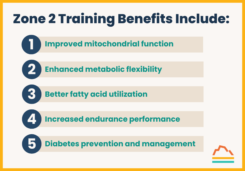 Infographic: Zone 2 Training Benefits: The Complete Guide to Metabolic Health and Performance