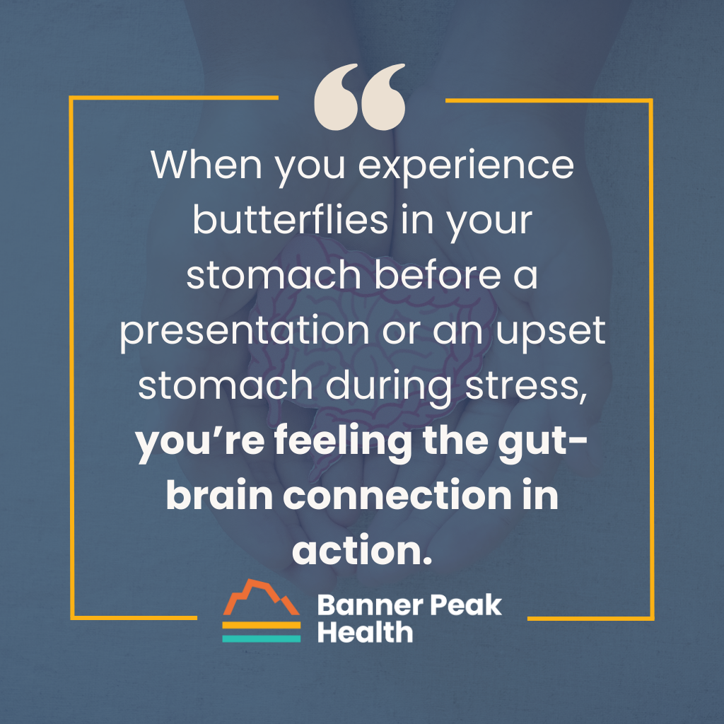 Quote: The Gut-Brain Connection: A Concierge Medicine Approach to Digestive and Mental Wellness