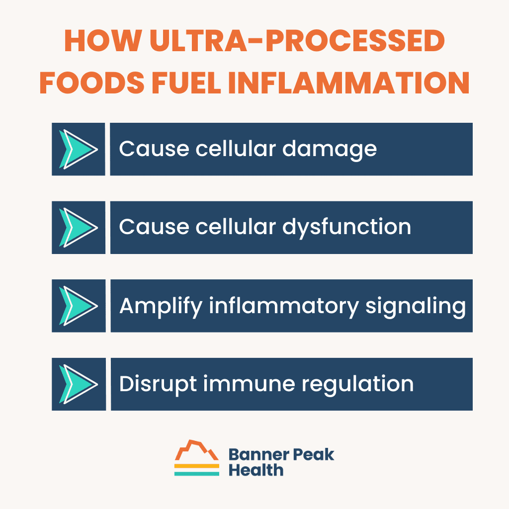 Infographic: Foods That Fight Inflammation: Your Defense Against Silent Damage