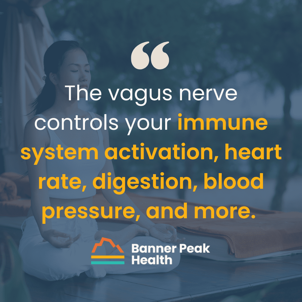 Quote: Unlocking Your Vagus Nerve: How Truvaga Can Calm Inflammation, Stress, and Pain