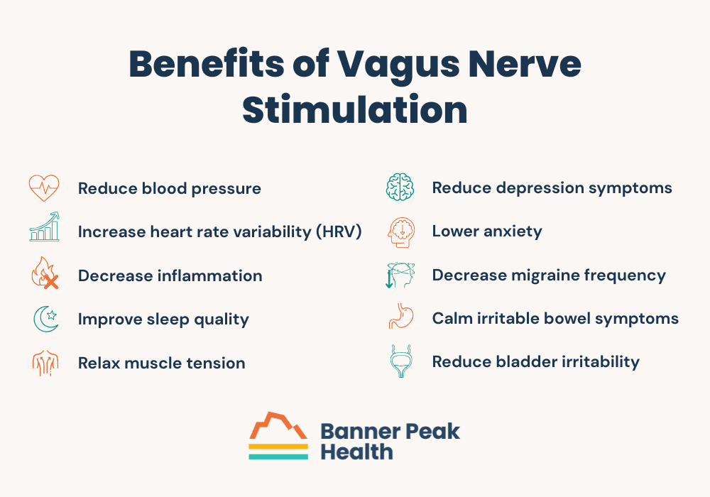 Infographic: Unlocking Your Vagus Nerve: How Truvaga Can Calm Inflammation, Stress, and Pain