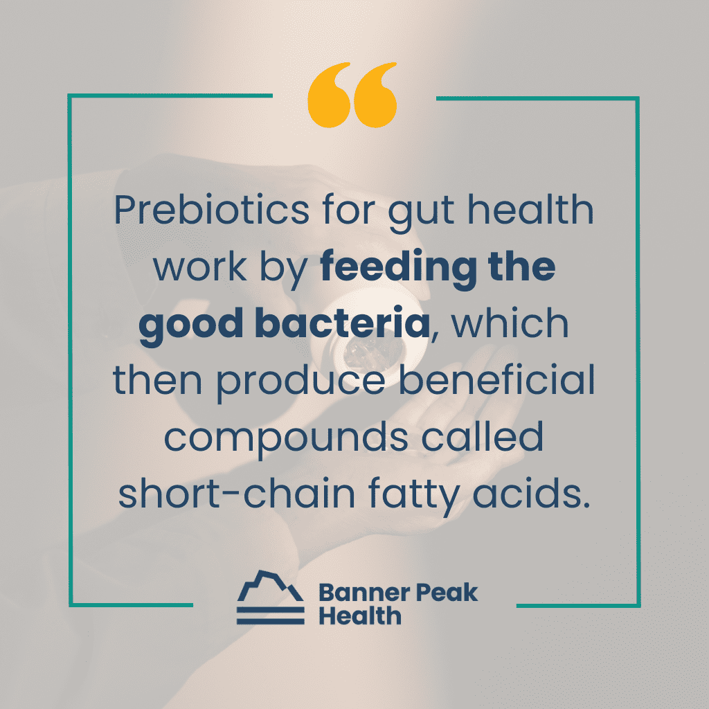 Quote: A Physician’s Guide to Prebiotic Supplements: What the Science Says