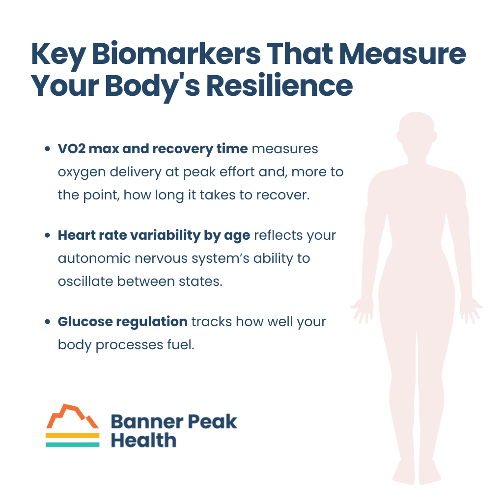 Infographic: The Art of Ageless Longevity: A Physician’s Guide to Building a Resilient Body