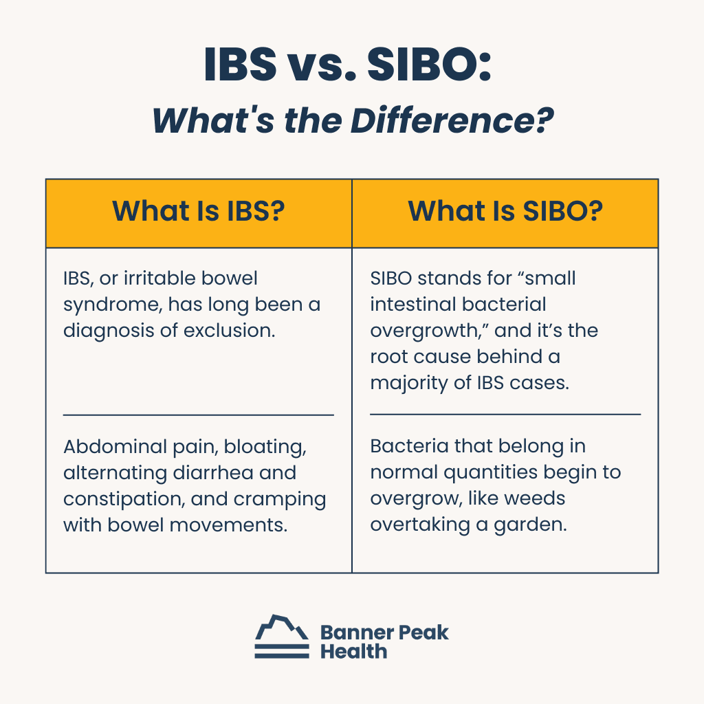 Infographic: SIBO vs. IBS: A Physician’s Guide to the Root Cause of Your Gut Symptoms