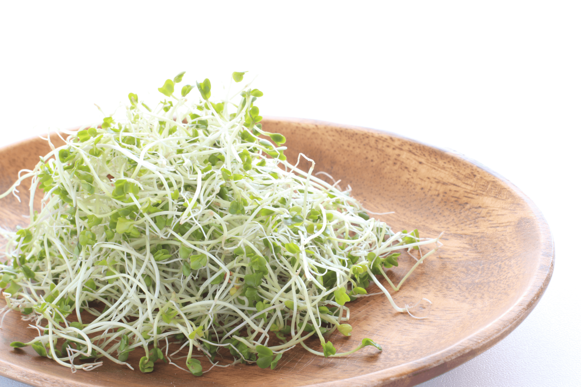 Bright green broccoli sprouts piled on a wooden plate.