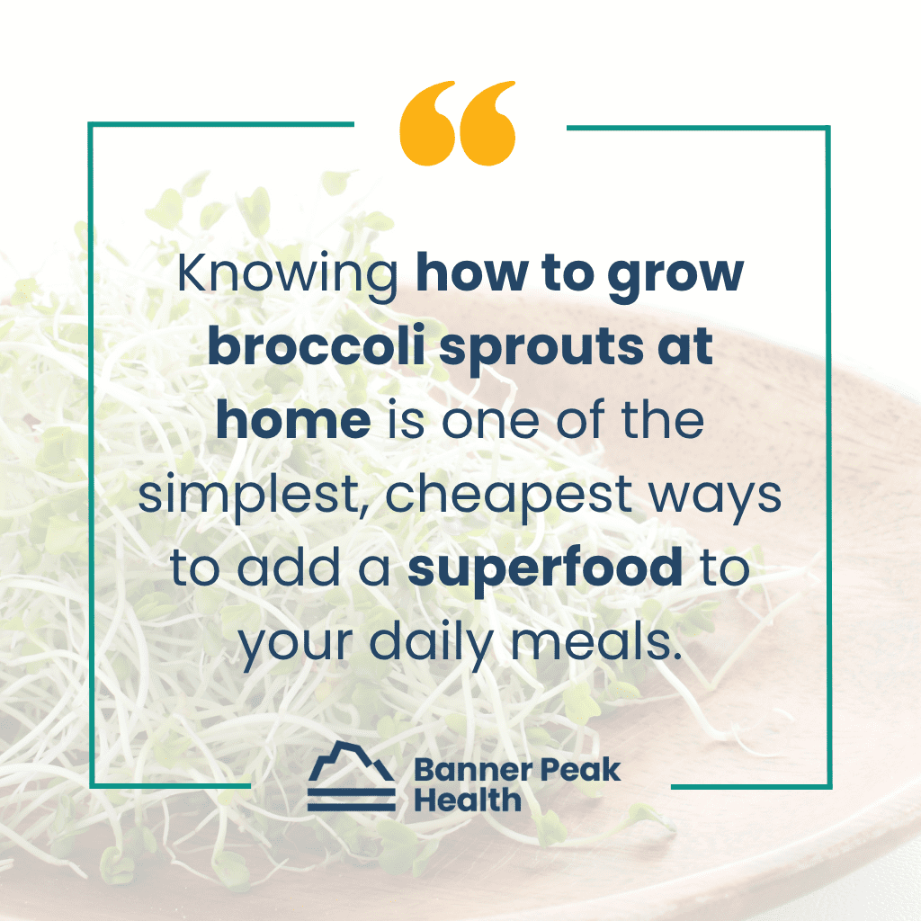 Quote: How to Grow Broccoli Sprouts at Home (And Why They’re Worth It)