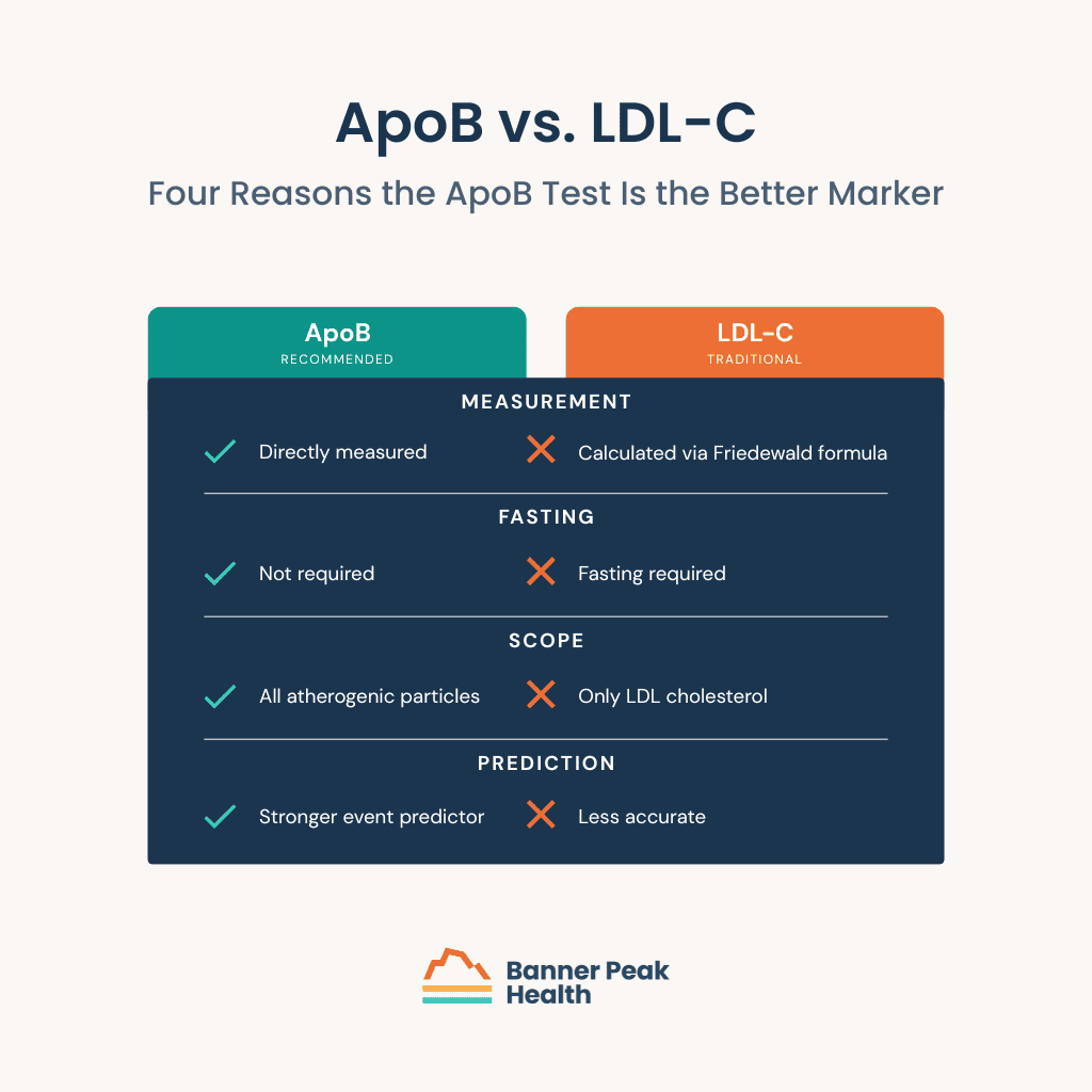 Infographic: The ApoB Test: The Cardiovascular Marker You May Never Have Heard Of
