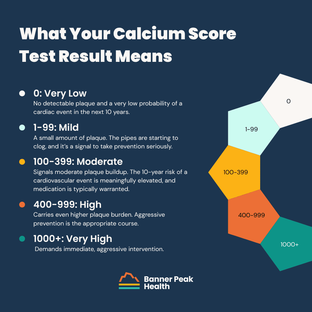 Infographic: How to Read Your Calcium Score Test: What 0 to 1,000 Means
