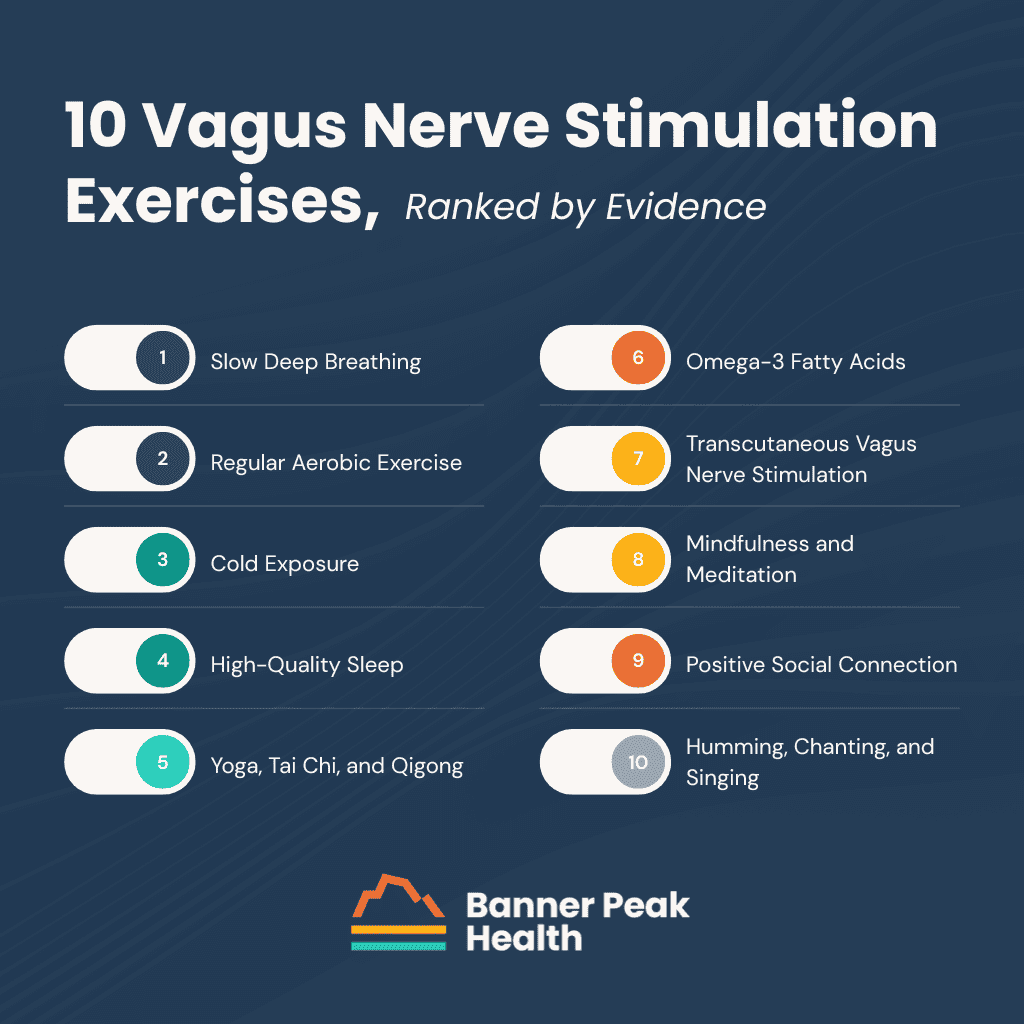 Infographic: Vagus Nerve Stimulation Exercises: The Daily Reps That Train Your Nervous System
